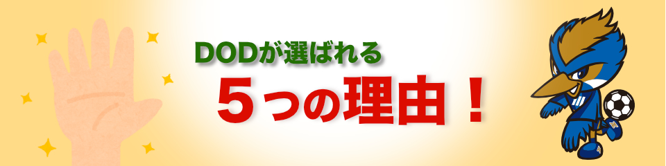 DODが選ばれる5つの理由